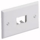 PANDUIT 2 Socket Mini-Com Classic Faceplate - 2 x Socket(s) - 1-gang - Office White CFPH2IW