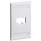 PANDUIT 2 Socket Mini-Com Classic Faceplate - 2 x Socket(s) - 1-gang - Electric Ivory - TAA Compliance CFPL2EIY