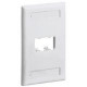 PANDUIT 2 Socket Mini-Com Classic Faceplate - 2 x Socket(s) - 1-gang - Off-white - TAA Compliance CFPL2IWY