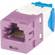 Panduit Network Connector - 24 Pack - 1 x RJ-45 Female - Violet - TAA Compliance CJ6X88TGVL-24