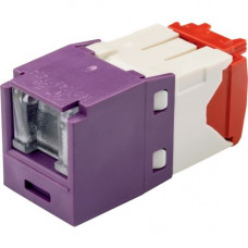 Panduit UTP Cat.5e Network Connector - 1 Pack - 1 x RJ-45 Female - Violet - TAA Compliance CJH5E88TGVL