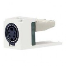 PANDUIT Mini-Com S-Video Punchdown Module - mini-DIN, 110-punchdown - TAA Compliance CJSVWH