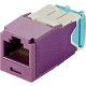 Panduit Mini-Com Network Connector - 1 x RJ-45 Male - Violet - TAA Compliance CJT6X88TGVL