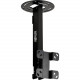 Tripp Lite Display TV Ceiling Monitor Mount Arm Swivel Tilt 23"-42" Screen - 66 lb Load Capacity - Steel - Black - RoHS, TAA Compliance DCTM