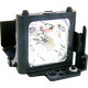 eReplacements Projector Lamp - 132 W Projector Lamp - 2000 Hour DT00381-ER
