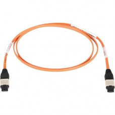 Black Box MPO-MPO 12-Fiber Patch Cable, MPO-MPO Female, Custom Length - 72.18 ft Fiber Optic Network Cable for Network Device, Patch Panel - First End: 1 x MPO Female Network - Second End: 1 x MPO Female Network - Patch Cable - 62.5/125 &micro;m EFN50