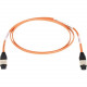 Black Box MPO-MPO 12-Fiber Patch Cable, MPO-MPO Female, Custom Length - 72.18 ft Fiber Optic Network Cable for Network Device, Patch Panel - First End: 1 x MPO Female Network - Second End: 1 x MPO Female Network - Patch Cable - 62.5/125 &micro;m EFN50