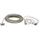 Black Box CPU/Server to ServSwitch Cable with Audio (Standard) - HD-15, mini-DIN, Mini-phone Stereo - DB-25 - 10ft EHN151A-0010