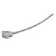 Black Box Modular Cable - RJ-11 Male Phone - RJ-11 Male Phone - Gray EL06MS-25