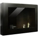 ORION Images Indoor & Outdoor Enclosure ENCL-A19
