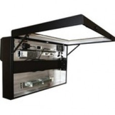 ORION Images Indoor & Outdoor Enclosure ENCL-A32