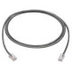 Black Box T1 Cable - RJ-48C Male Network - RJ-48C Male Network - 10ft - Gray ETNMSR01-0010