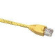 Black Box Gigabase Cat. 5E UTP Patch Cable - RJ-45 Male - RJ-45 Male - 10ft - Beige EVCRB85-0010