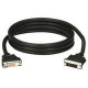 Black Box DVI Cables - DVI-D Male - DVI-D Male Video - 10ft EVNDVI02-0010