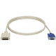 Black Box DVI Cable - DVI Male Video - DVI Male Video - 15ft EVNDVI02-0015
