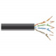 Black Box GigaTrue Cat.6 Network Cable - 1000 ft Category 6 Network Cable for Patch Panel, Network Device - Bare Wire - Bare Wire - Black - TAA Compliance EVNSL0647A-1000