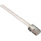 Black Box GigaBase 350 CAT5e Patch Cable, Basic Connectors, White, 100-ft. (30.4-m) - 100 ft Category 5e Network Cable for Network Device - First End: 1 x RJ-45 Male Network - Second End: 1 x RJ-45 Male Network - Patch Cable - White EVNSL20-0100