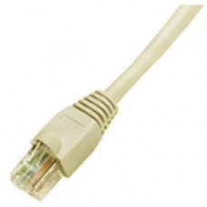 Black Box GigaTrue Cat. 6 Channel UTP Patch Cable - RJ-45 Male - RJ-45 Male - 2ft - Beige EVNSL645-0002