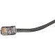 Black Box Cat. 5 UTP Cable - RJ-45 Male - RJ-45 Male - 5ft - Beige EYN737MS-0005