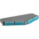 Panduit QuickNet HDQ F1ASZN-1A12-10S Network Patch Panel - 12 Port(s) - 12 x Duplex - 1U High - Rack-mountable - TAA Compliance F1ASZN-1A12-10S