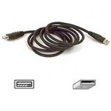 Belkin USB Extender Cable - Type A Male - Type A Female USB - 3ft - TAA Compliance F3U134B03