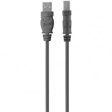 Belkin USB Cable - Type A USB - Mini Type B USB F3U154-06-SN