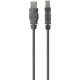 Belkin USB Cable - Type A USB - Mini Type B USB F3U154-06-SN
