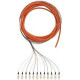 Panduit Fiber Optic Duplex Network Cable - 32.81 ft Fiber Optic Network Cable for Network Device - First End: 12 x SC Male Network - Pigtail - 62.5/125 &micro;m - Orange - 1 Pack - TAA Compliance F612D3-NM10Y