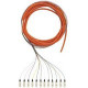 Panduit Fiber Optic Duplex Network Cable - 19.69 ft Fiber Optic Network Cable for Network Device - First End: 12 x SC Male Network - Pigtail - 62.5/125 &micro;m - Orange - 1 Pack - TAA Compliance F612D3-NM6Y