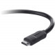 Belkin F8V3311b06 HDMI Cable - 6 ft HDMI A/V Cable - HDMI Male - HDMI Male - Black F8V3311B06