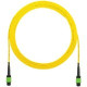 Panduit Fiber Optic Network Cable - 32.81 ft Fiber Optic Network Cable for Network Device - MTP/MPO Female Network - MTP/MPO Female Network - 9/125 &micro;m - 1 - TAA Compliance F9N0505RTPM010