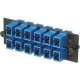 Panduit FAP12WBUSCZ Network Patch Panel - 12 Port(s) - 12 x Simplex - Blue, Black - TAA Compliance FAP12WBUSCZ