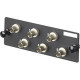 Panduit FAP6WSTZ Singlemode Network Patch Panel - 6 x ST - 6 Port(s) - 6 x RJ-11 - 6 x - TAA Compliance FAP6WSTZ