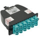 Panduit QuickNet Cassette (Opticom Style) ; OM3, 24- Fiber, MTP to Duplex LC - 24 Port(s) - 24 x Duplex - Aqua - TAA Compliance FC2XN-24-10B1