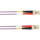 Black Box Duplex Fiber Optic Patch Network Cable - 82.02 ft Fiber Optic Network Cable for Network Device - First End: 2 x LC Male Network - Second End: 2 x LC Male Network - 10 Gbit/s - Patch Cable - 50/125 &micro;m - Violet - TAA Compliant FOCMP10-02
