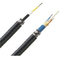 Panduit Fiber Optic Network Cable - Fiber Optic for Network Device - 1 Pack - 62.5 &micro;m - TAA Compliance FSMR624Y
