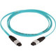 Panduit Fiber Optic Network Cable - 86 ft Fiber Optic Network Cable for Network Device - MTP Female Network - MTP Female Network - 10 Gbit/s - 50/125 &micro;m - Aqua - TAA Compliance FX12D5-5F86Y