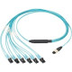 Panduit Fiber Optic Duplex Network Cable - 3 ft Fiber Optic Network Cable for Network Device - First End: 1 x MPO Female Network - Second End: 2 x LC Male Network - Aqua - 1 - TAA Compliance FXTHL5NLDSNM001