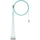 Panduit Fiber Optic Network Cable - 56 ft Fiber Optic Network Cable for Network Device - PanMPO Male Network - LC Male Network - 10 Gbit/s - 50/125 &micro;m - Aqua - TAA Compliance FXTRP8NUSSNF056