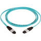 Panduit Fiber Optic Network Cable - Fiber Optic for Network Device - 6.56 ft - 1 Pack - MPO Female Network - MPO Female Network - 50/125 &micro;m - Aqua - TAA Compliance FZ12D5-5M2Y