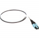 Panduit Ribbon Pigtail Assembly - 3.28 ft Fiber Optic Network Cable for Network Device - First End: 1 x PanMPO Female Network - Second End: 1 x Pigtail - 50/125 &micro;m - 1 FZTCN7NNNONM001