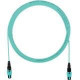 Panduit Fiber Optic Network Cable - 32.80 ft Fiber Optic Network Cable for Network Device - PanMPO Female Network - PanMPO Female Network - Aqua - 1 Pack FZTRP7N7NANM010