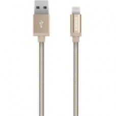 Kanex Sync/Charge Lightning/USB Data Transfer Cable - 9.84 ft Lightning/USB Data Transfer Cable - Lightning Proprietary Connector - USB - Gold K8P9FPGD