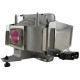 Battery Technology BTI LAMP-019-BTI Replacement Lamp - 150 W Projector Lamp - UHP - 1000 Hour - TAA Compliance LAMP-019-BTI