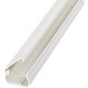 Panduit Pan-Way LDPH10IW6-A Surface Raceway - Off White - 1 Pack - TAA Compliance LDPH10IW6-A