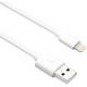 Axiom Lightning/USB Data Transfer Cable - 3 ft Lightning/USB Data Transfer Cable for iPhone, iPad, iPod - Type A Male USB - Lightning Male Proprietary Connector - White LGMUSBAMW03-AX