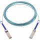 Axiom Active Fiber Cable, ETH 100GbE, 100Gb/s, QSFP, 15m - 49.21 ft Fiber Optic Network Cable for Network Device, Switch - First End: 1 x QSFP Network - Second End: 1 x QSFP Network - 12.50 GB/s MFA1A00-C015-AX
