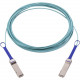 Accortec LinkX Fiber Optic Network Cable - 9.84 ft Fiber Optic Network Cable for Network Device - First End: 1 x QSFP Network - Second End: 1 x QSFP Network - 12.50 GB/s MFA1A00-E003-ACC