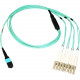 Axiom Fiber Optic Network Cable - 82.02 ft Fiber Optic Network Cable for Network Device - First End: 1 x MTP/MPO Female Network - Second End: 8 x LC Male Network - 50/125 &micro;m - Aqua MP8LCOM3R25M-AX