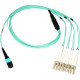 Axiom Fiber Optic Network Cable - 22.97 ft Fiber Optic Network Cable for Network Device - First End: 1 x MTP/MPO Female Network - Second End: 8 x LC Male Network - 50/125 &micro;m - Aqua MP8LCOM3R7M-AX